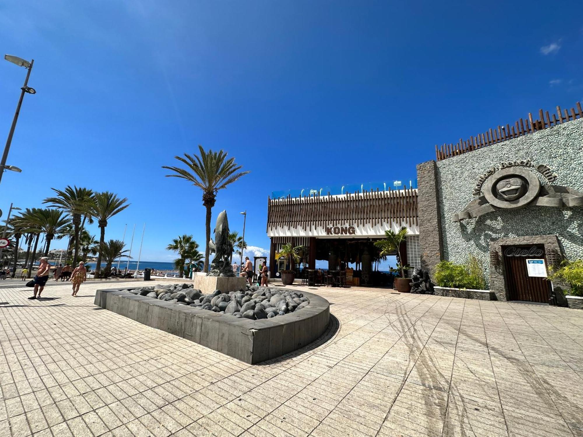 Appartamento Torres De Yomely - Y1G Playa de las Americas  Esterno foto